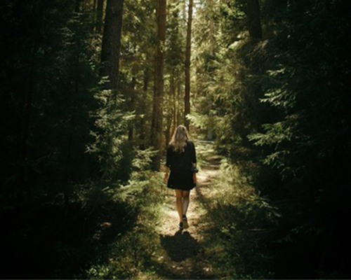 Cognitive Behavioral Therapy (CBT)